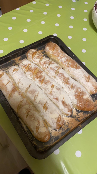 pane1-20200604.jpg pane1-20200604.jpg