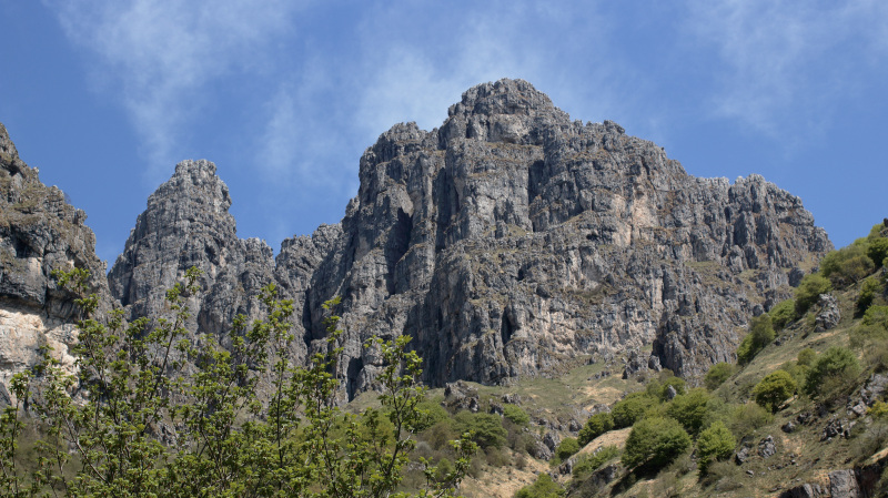 img_8149_01s.jpg img_8149_01s.jpg