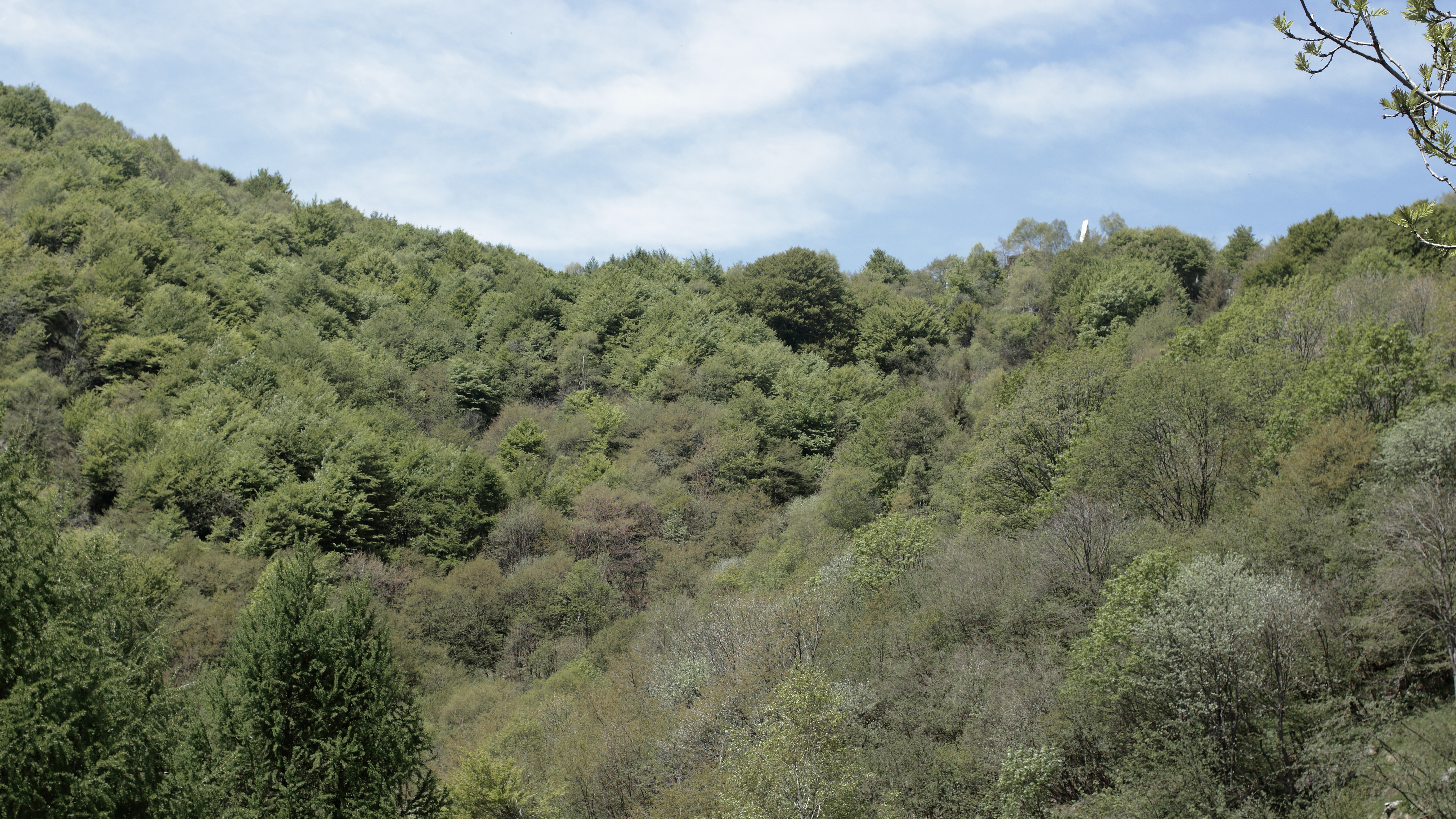 Passo del Foo vista dalla Capanna Monza Passo del Foo vista dalla Capanna Monza
